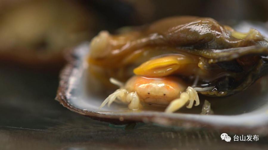 石硖螺中的共生蟹