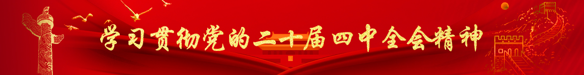 学习贯彻党的二十届四中全会精神