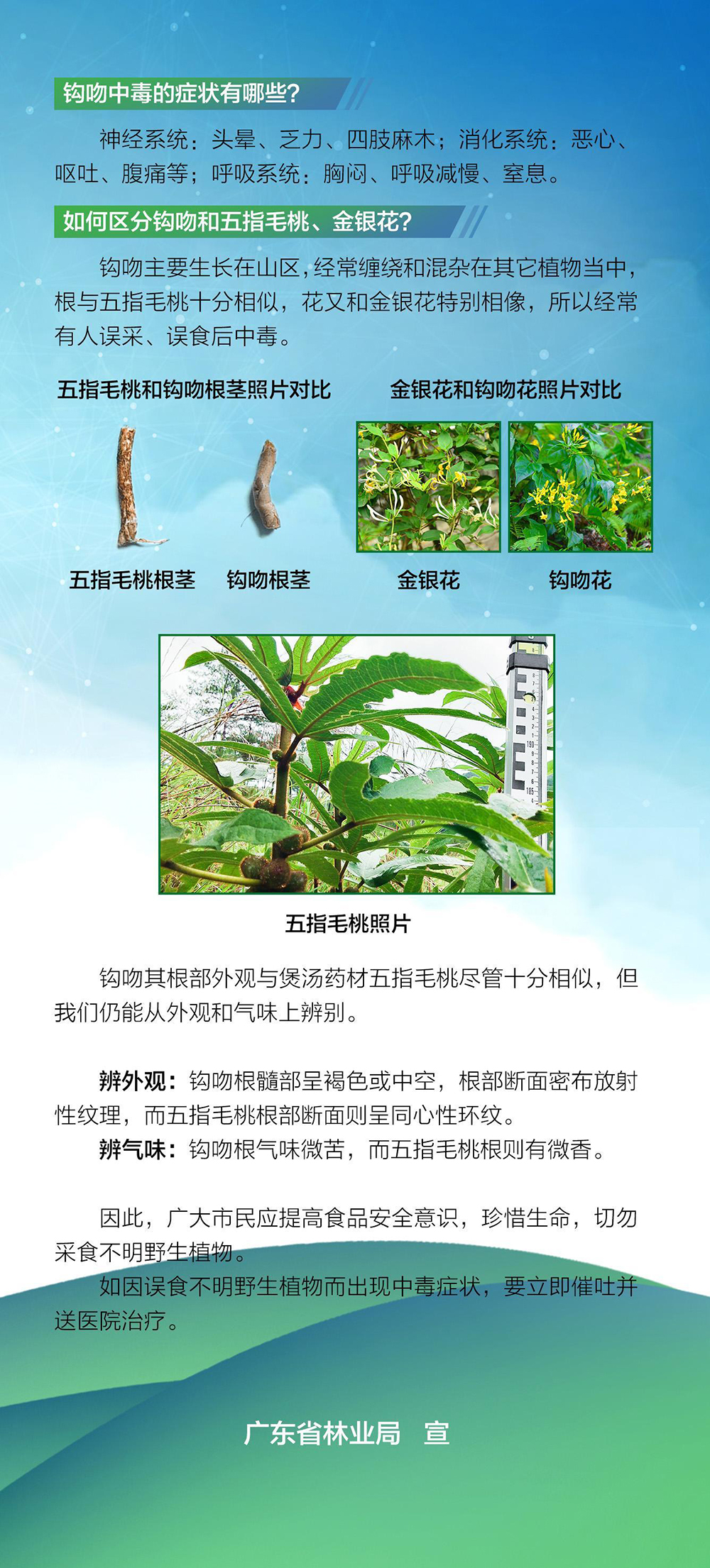 210616品质生活从食用林产品开始 (6).jpg