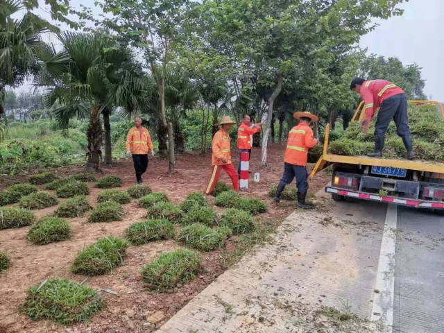 塘口道班参与开平市“四好农村路”示范路建设 (3).jpg 图片
