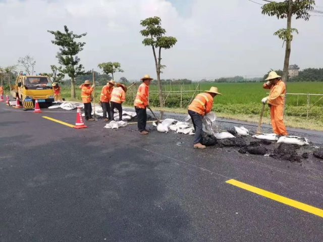 塘口道班参与开平市“四好农村路”示范路建设 (1).jpg 图片