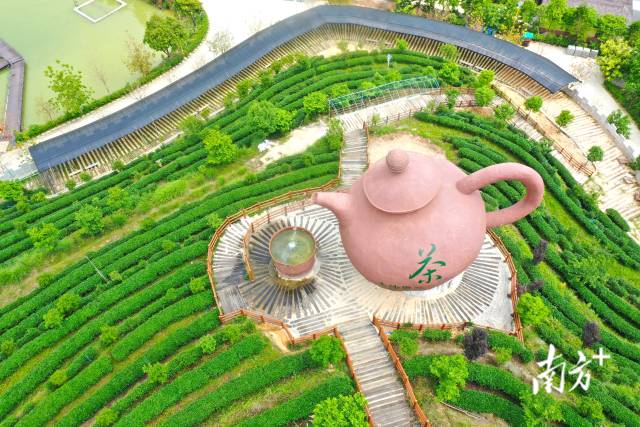 巨型茶壶是大沙里·欢茶谷的标志。 南方+ 杨兴乐 拍摄 巨型茶壶是大沙里·欢茶谷的标志。 南方+ 杨兴乐 拍摄