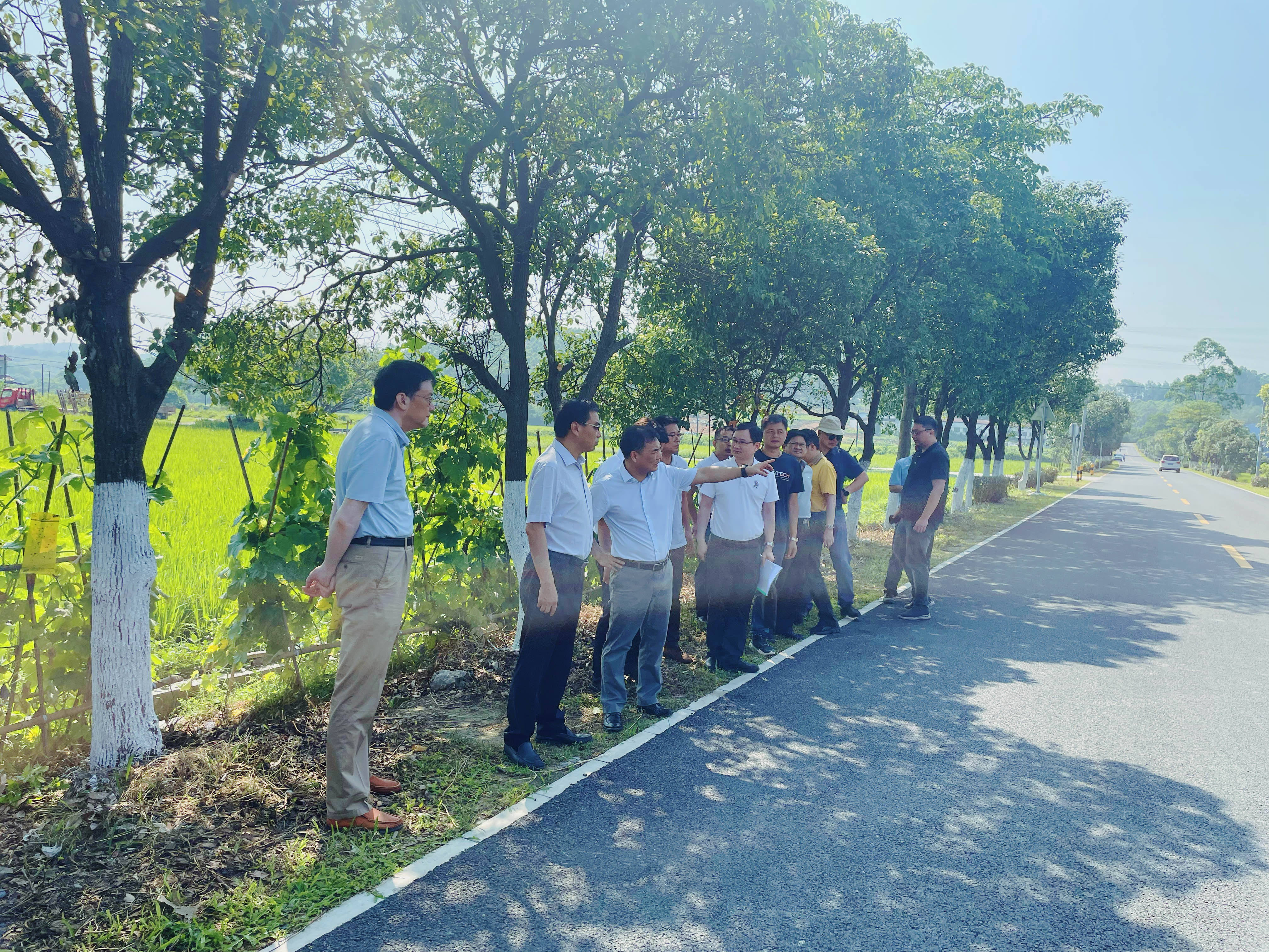 图2 督导组调研开平市美丽农村路项目村道四贵线路面改造工程.jpg