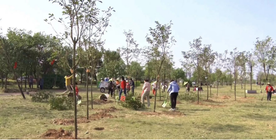 240222春节植树不打烊,绿美建设再启航 (2).png