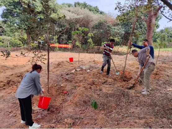 240222春节植树不打烊,绿美建设再启航 (4).png