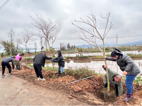 240222春节植树不打烊,绿美建设再启航 (8).png