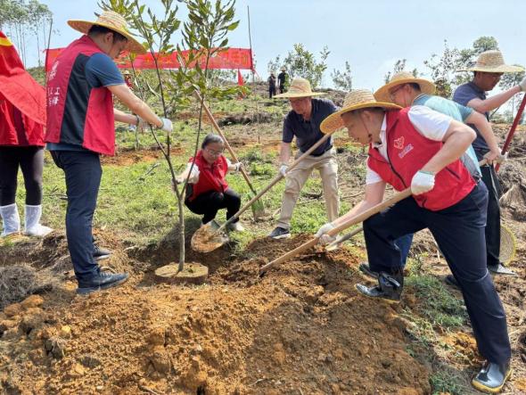 240508党建引领建设绿美生态 送训下乡助力乡村振兴 (1).jpg