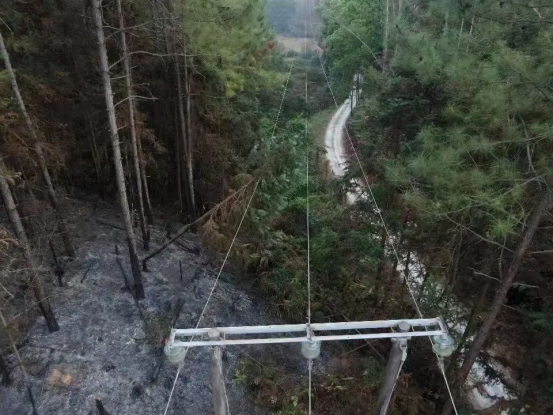 250214护林版“哪吒”,山林间的逆火行者--李进喜 (1).jpg