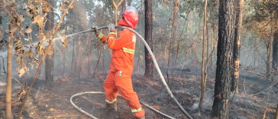 250214护林版“哪吒”,山林间的逆火行者--李进喜 (2).jpg