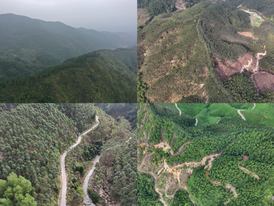 250225森林防火  我们在行动 (1).png