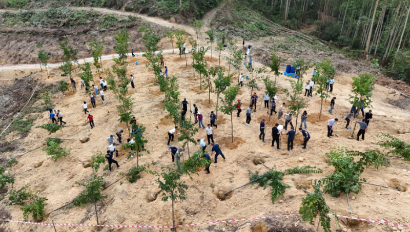 250314江门市开展2025年全省推进绿美广东生态建设暨五级林长植树活动 (2).png