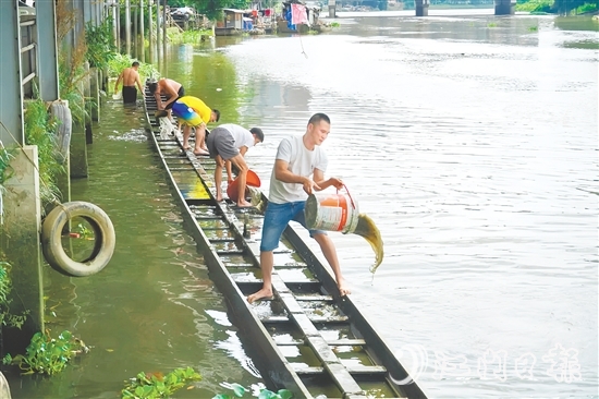 掏泥沙、舀泥浆，长沙街道爱民村委会杜澄村村民分工合作，“请”出河中的“金龙”。