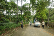 250807防蚊灭蚊，我们在行动——江门市自然资源局开展爱国卫生运动 (7).png