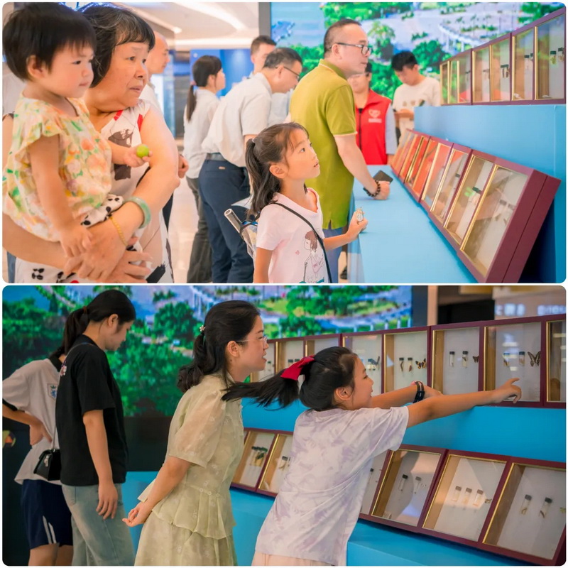 250818共筑生态防线&bull;守护绿美江门 江门市林业有害生物防控科普活动圆满举行 (11).jpg