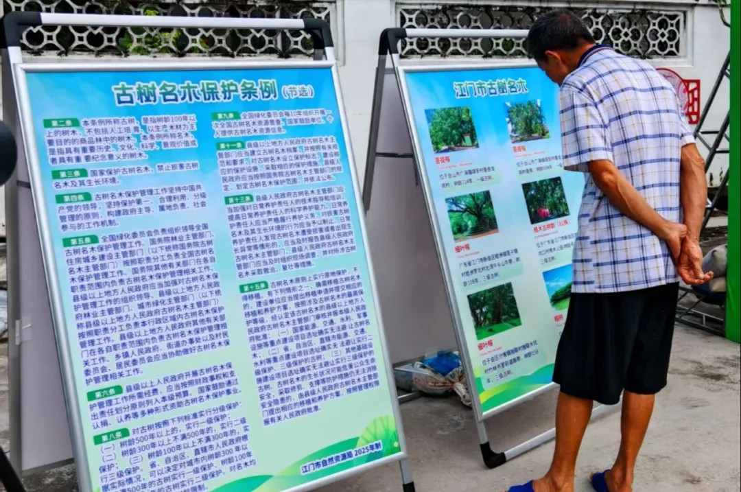 250821江门市自然资源局举办 “古树公园探秘行动” 聚焦绿色古董守护与科普 (13).jpg