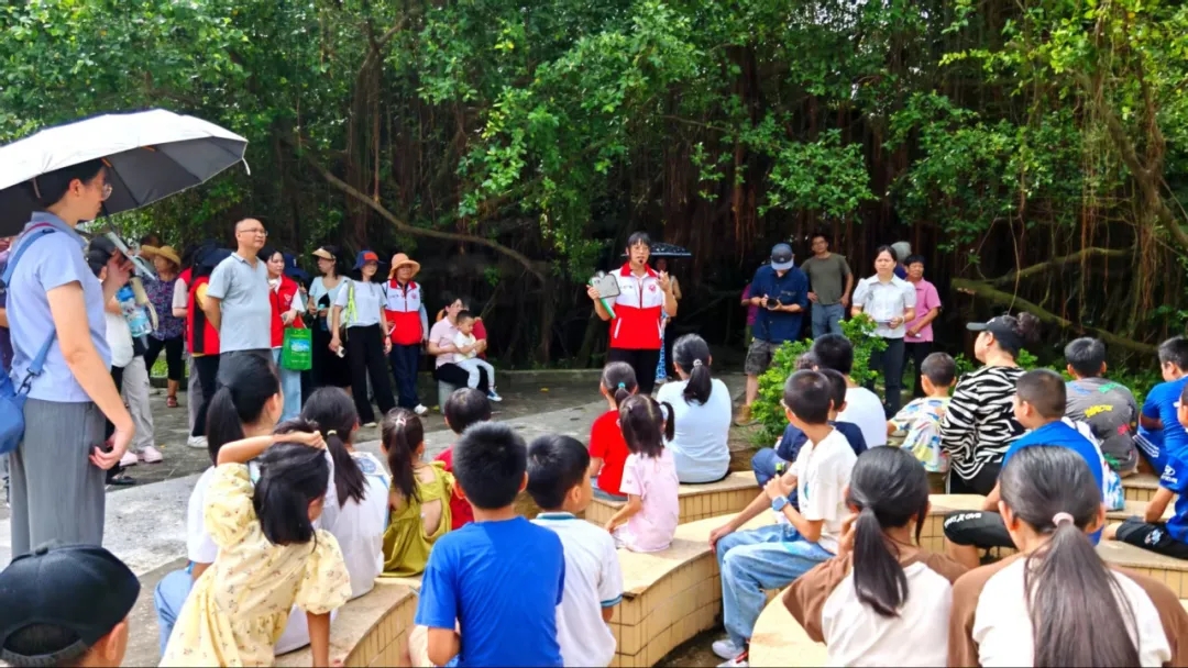 250821江门市自然资源局举办 “古树公园探秘行动” 聚焦绿色古董守护与科普 (14).jpg