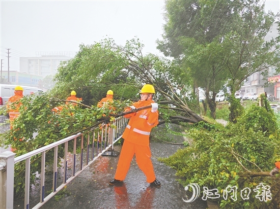 工作人员冒着风雨作业，清理倒伏树木。