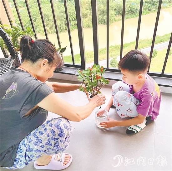 台山学子带动家庭成员一起清积水、灭蚊虫、搞卫生。