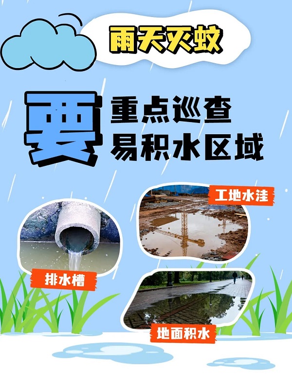 雨天灭蚊2.jpg