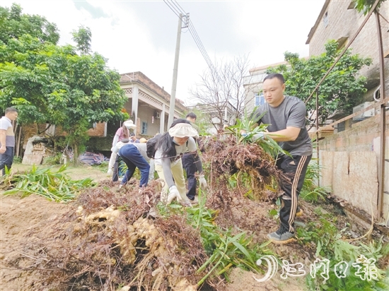 沙坪街道林屋村开展“两清一灭”行动。