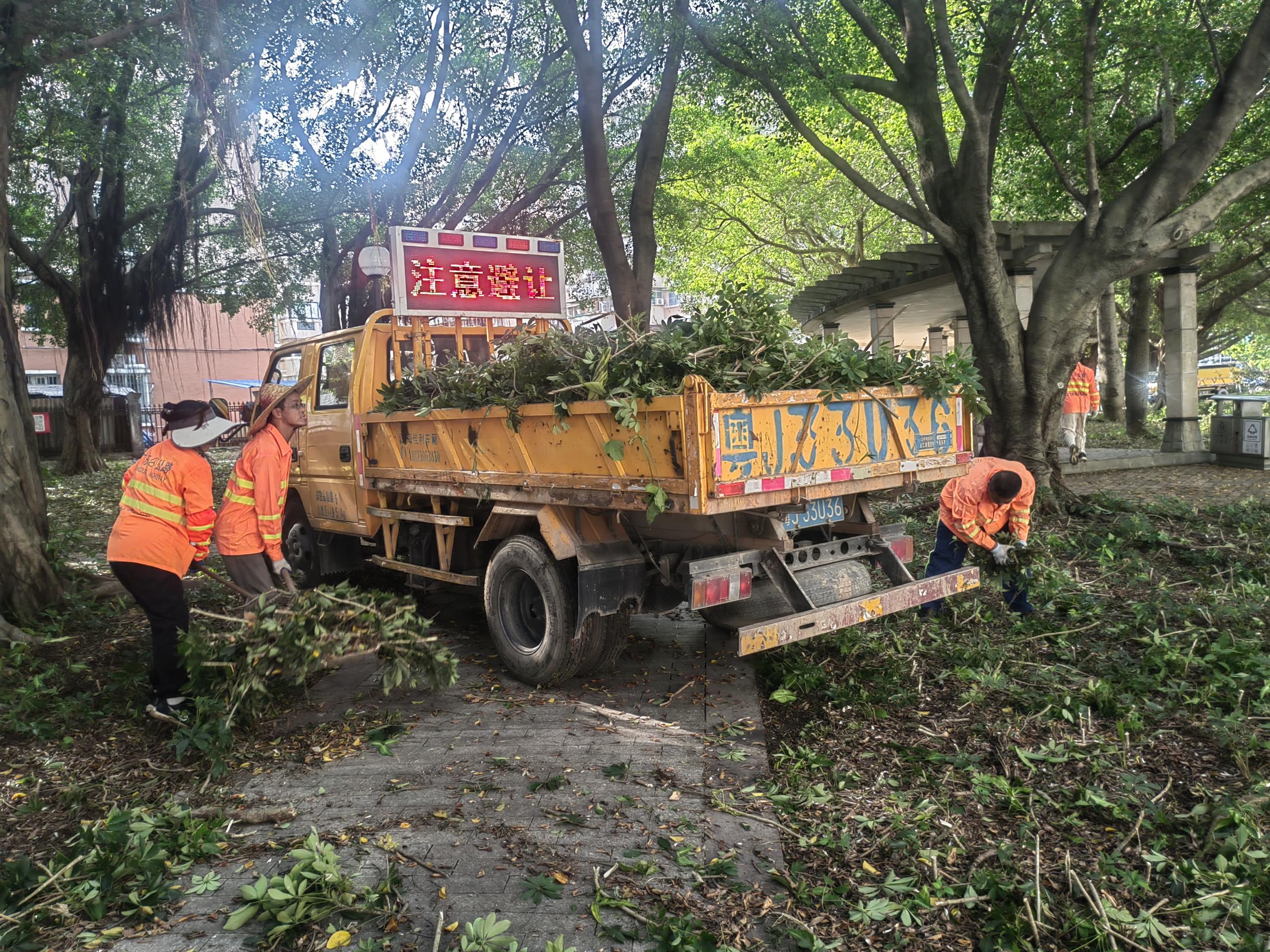 6.养护车清运垃圾.jpg
