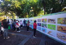 251126绿美江门 万众护飞 (7).png