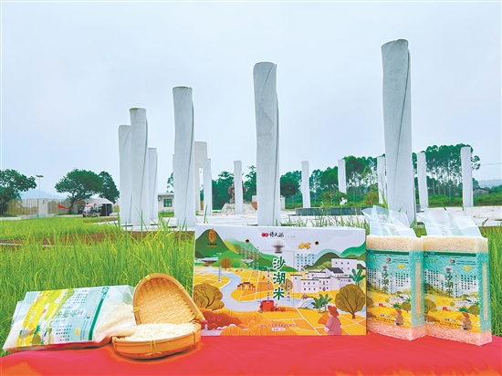 恩平大米成功获评国家地理标志农产品、全国名特优新农产品、国家区域公用品牌、广东省名牌产品,并入选“广东好大米”十大品牌。 恩平大米成功获评国家地理标志农产品、全国名特优新农产品、国家区域公用品牌、广东省名牌产品,并入选“广东好大米”十大品牌。