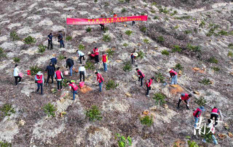 260318江门市开展2026 年全省联动推进绿美广东生态建设义务植树活动 (1).jpg