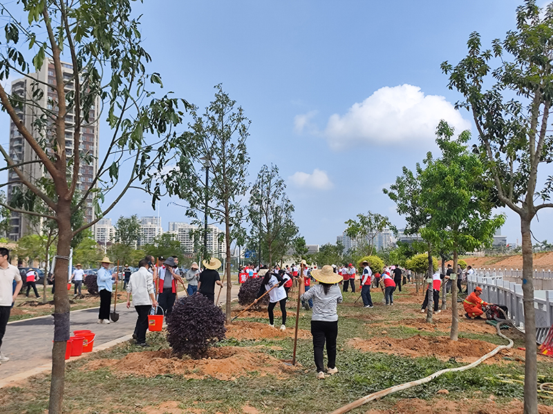 260318江门市开展2026 年全省联动推进绿美广东生态建设义务植树活动 (4).jpg