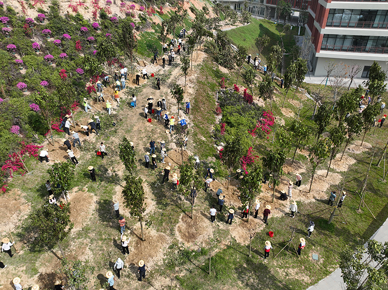 260318江门市开展2026 年全省联动推进绿美广东生态建设义务植树活动 (7).jpg