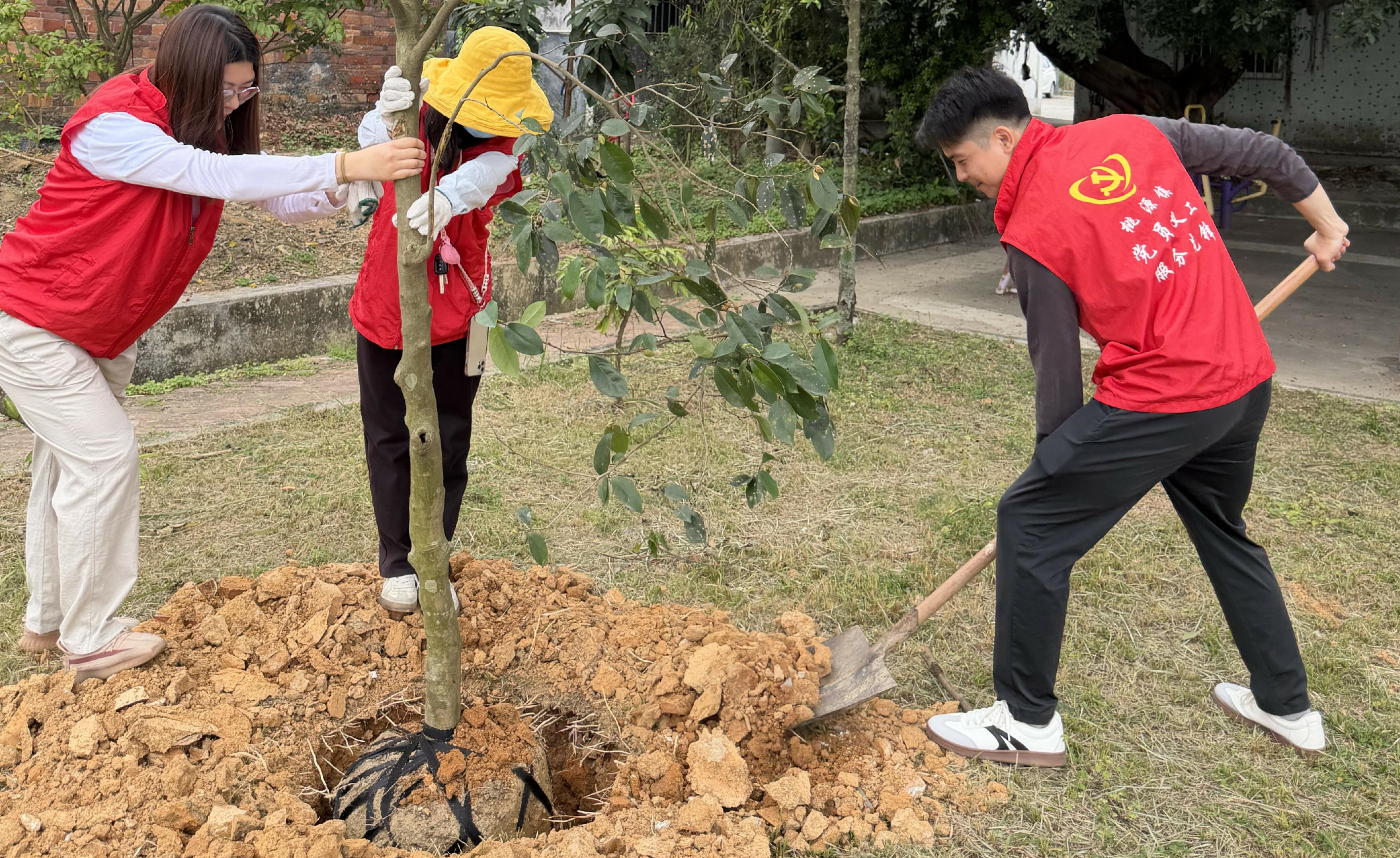植树护绿践初心 青春奋进新征程——江门市审计局团支部开展义务植树活动