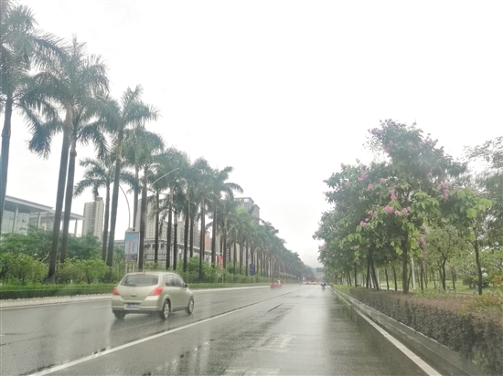 蓬江区发展大道无违规停放机动车。 蓬江区发展大道无违规停放机动车。